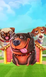 The Dog House