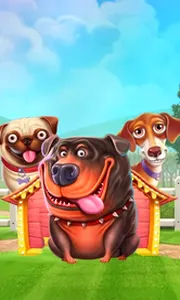 The Dog House